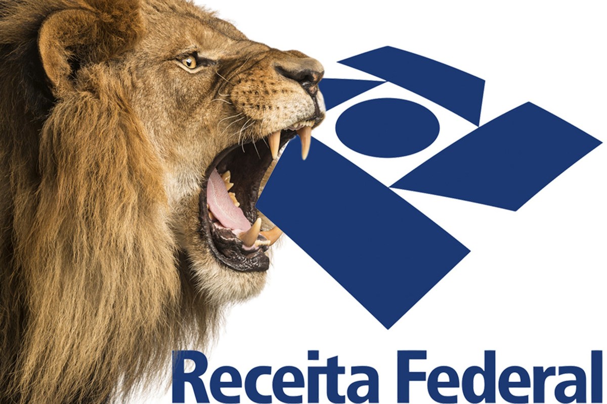 Novo sistema CarnêLeão Eficacy Contabilidade